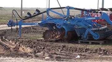Правительство Волгоградской области должно агрохолдингу «Райгород» за 2013 год более 60 млн субсидий