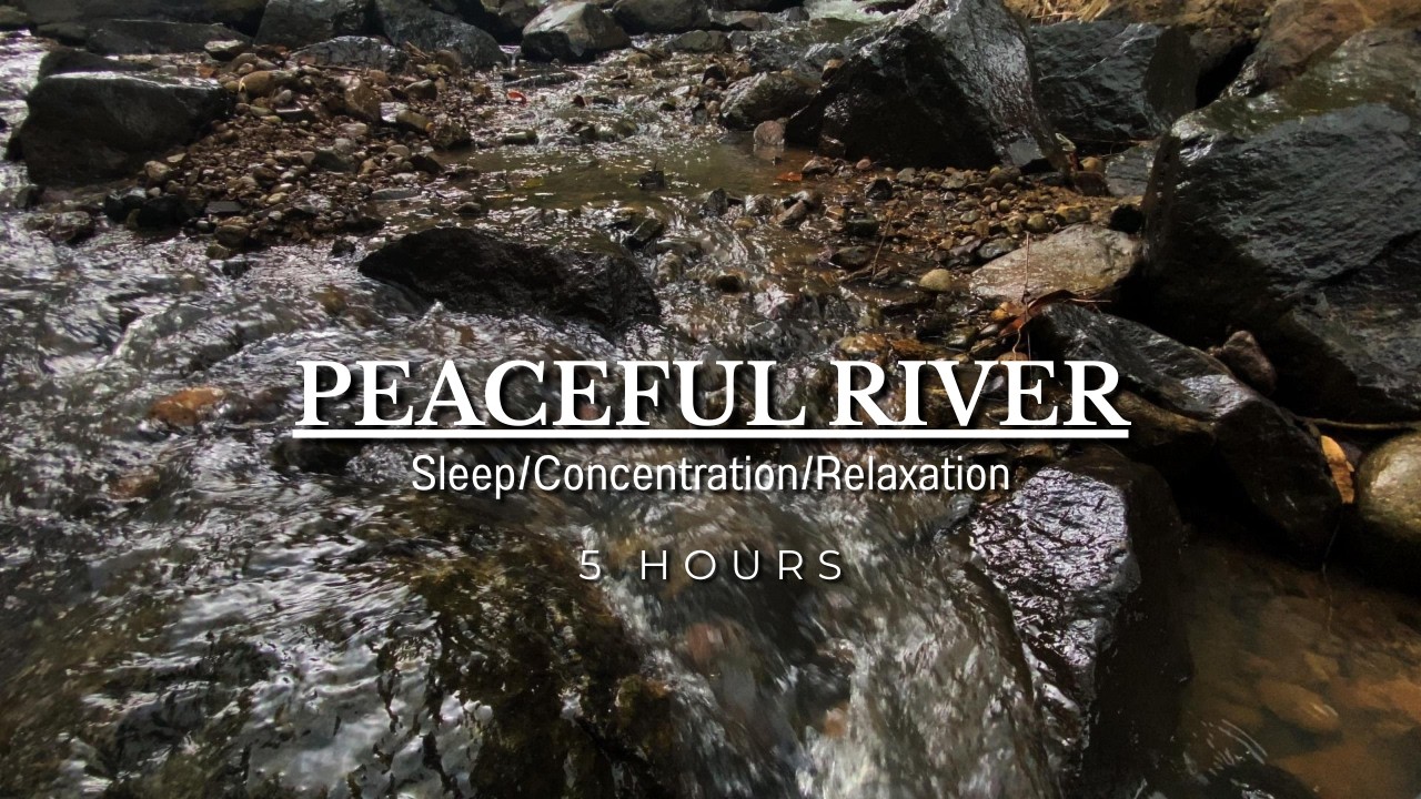Peaceful River Water Sounds, Light Forest Birds, Calming Natural Ambience