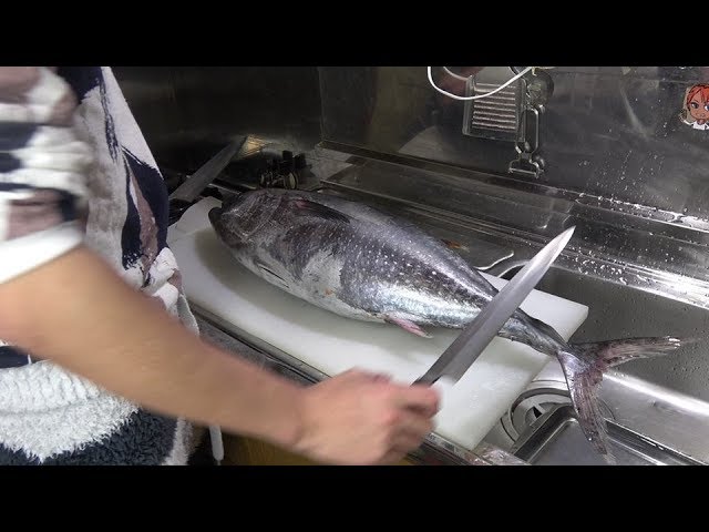 【無修正】クロマグロのさばき方【銀色のヤツ】