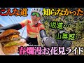 【山奥感】近そうな道を選んだら登りでした。ロードバイク女子ゆみやみ！