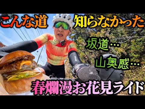Yumi yummy channel / ゆみやみちゃんねる - YouTube