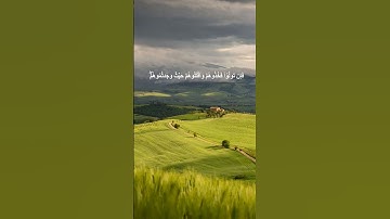 دقيقة من القرآن الكريم بصوت الشيخ ماهر المعيقلي سورة النساء