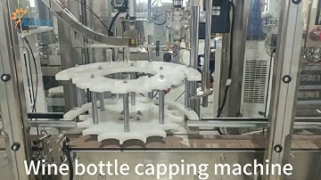 Wine Bottle Capping Machine , Automatic Screw Capper Machine for red Wine, Glass jar Capper machine
