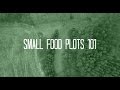 Food Plots 101 | Small Food Plots