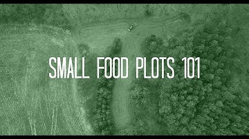 Food Plots 101 | Small Food Plots