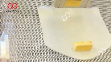 Fried Spring Roll Processing Machine springrollsolution.com