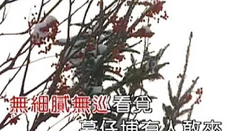 3 墓仔埔也敢來 Bm 3 墓仔埔也敢來 Bm