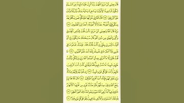 الحمد لله رب العالمين #الرحمن #قرآن #قران_كريم #المصحف #راحة_نفسية #تلاوة_خاشعة #القارئ #العظماء