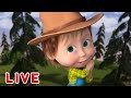 🔴 AO VIVO 👱♀️🐻 Masha e o Urso 🏡👶 Quem esta no comando? 🏡👶Masha and the Bear LIVE