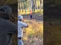 🐃 Могучий буйвол — незабываемая охота!#Chases#challenge #wildbuffalo #hunting