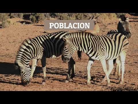 Video: ¿Qué es una comunidad de plantas y animales que se encuentra en una región en particular?