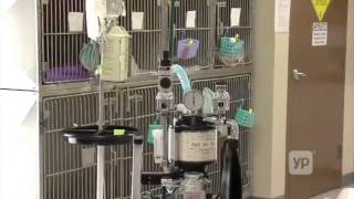 Afford-A-Vet Clinic
