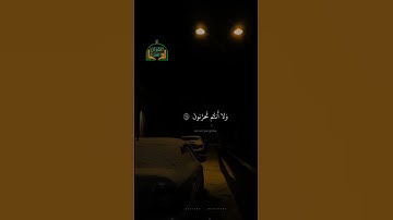 ماشاء الله تبارك الله القارئ (المنشاوي)