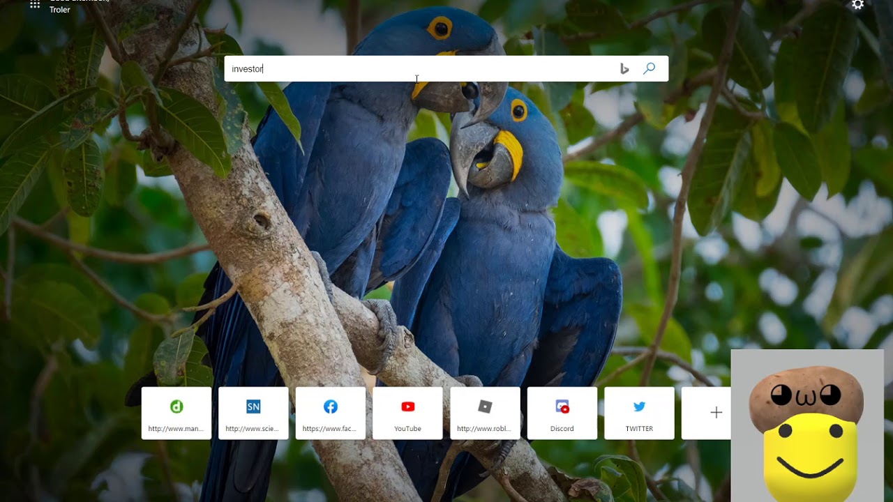 Why do Companies create Their IMAGE? | Box Critters (Combat Card Game) |  part 16