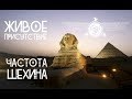 Сфинкс. Живое присутствие. Частота Шехина