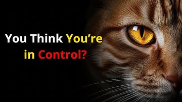 10 DINGEN DIE UW KAT NOOIT ZAL VERGEVEN