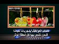 ما الفرق بين العواطف و المشاعر والمزاج تتحكم العواطف بمجريات حياتنا فنحن نشعر بها كل لحظة تؤثر