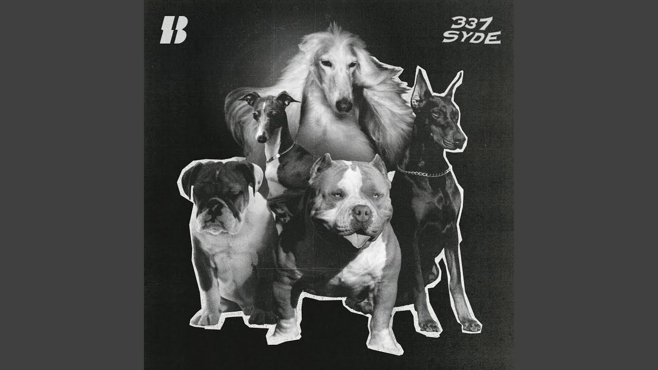 337 SYDE - Bow Wow Freestyle
