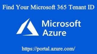 Navigate With Microsoft Entra Id Tenant Properties