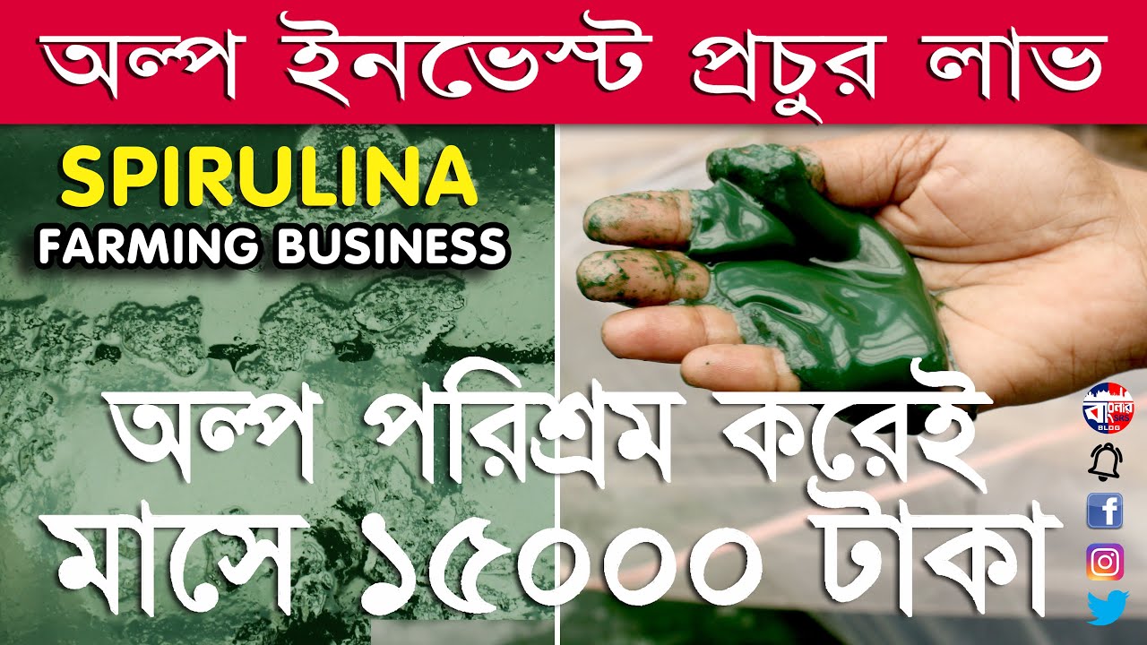 Spirulina Farming is Best Profitable Business in West Bengal YouTube
