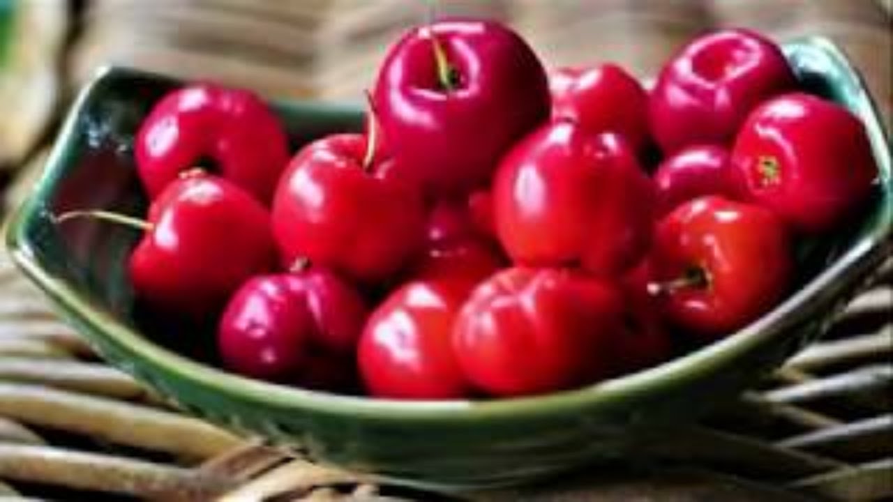 Acerola Ulmf