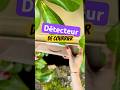Détecteur de courrier #astuce #detecteur #gadget #gadgets