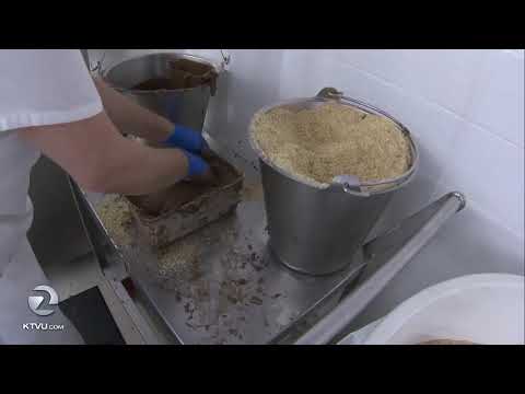 factory-tour:-the-magic-of-see