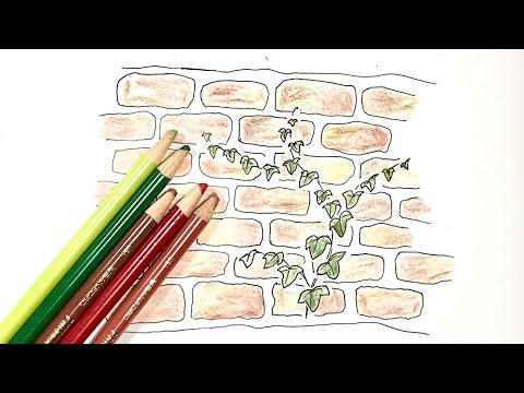 レンガとツタ の描き方 色鉛筆とペンの簡単イラスト Brick Ivy Youtube