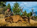 Deer Hunt New Zealand - Охота на оленя в Новой Зеландии