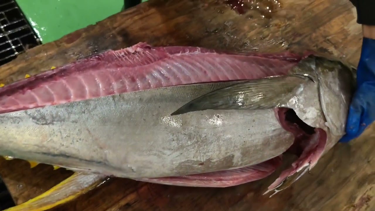 引っ越し処分❕森正、魚オブジェ4点セット、1万円❕ YouTube