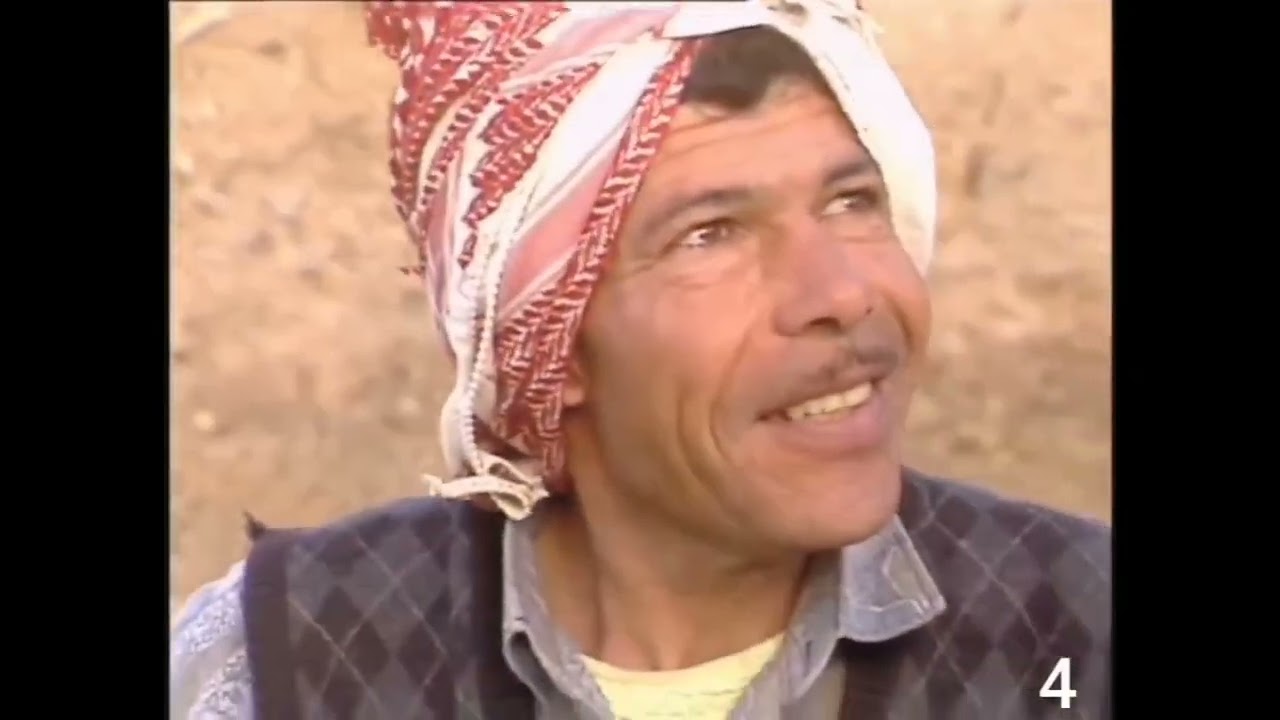 طبقة فحل عام 1993 التنقيب عن الآثار