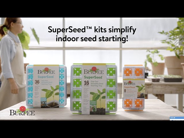 Burpee SuperSeed Pop-Out Reusable Seed Starting Tray, 36-Cell