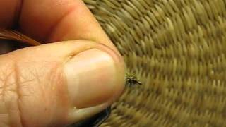 Sedge step by step