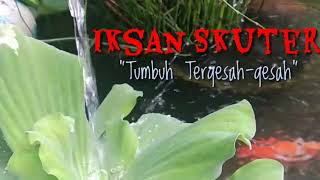 Lirik lagu Iksan Skuter - Tumbuh dan Tergesah