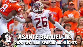 Asante Samuel Jr. 2020 Regular Season Highlights | Florida State DB