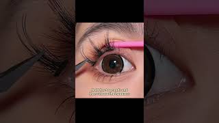 How to Apply False Eyelashes | Easy Lash Tutorial for Beginners