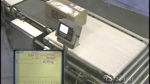 WeighMore® Conveyor Scales
