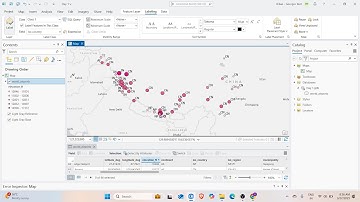 Geographic Information Systems (GIS) | Day 1 | ArcGIS Pro-Data Import, Filtering, and Visualization