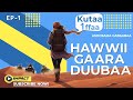 Hawwii Gaara Duubaa Asoosama Kutaa 1ffaa Barressaaf Seeneesaan Ayyalaa Ejeree Hawwii Gaara Duubaa Asoosama Kutaa 1ffaa Barressaaf Seeneesaan Ayyalaa Ejeree