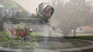 Çiğdem Der ki Ben Alayım | Ney | Instrumental Music