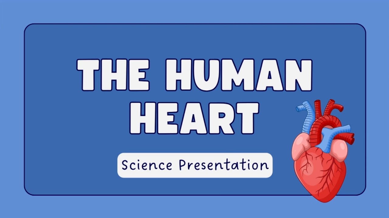 How Does the Heart Work? | Heart Function in English & Marathi | Easy Biology