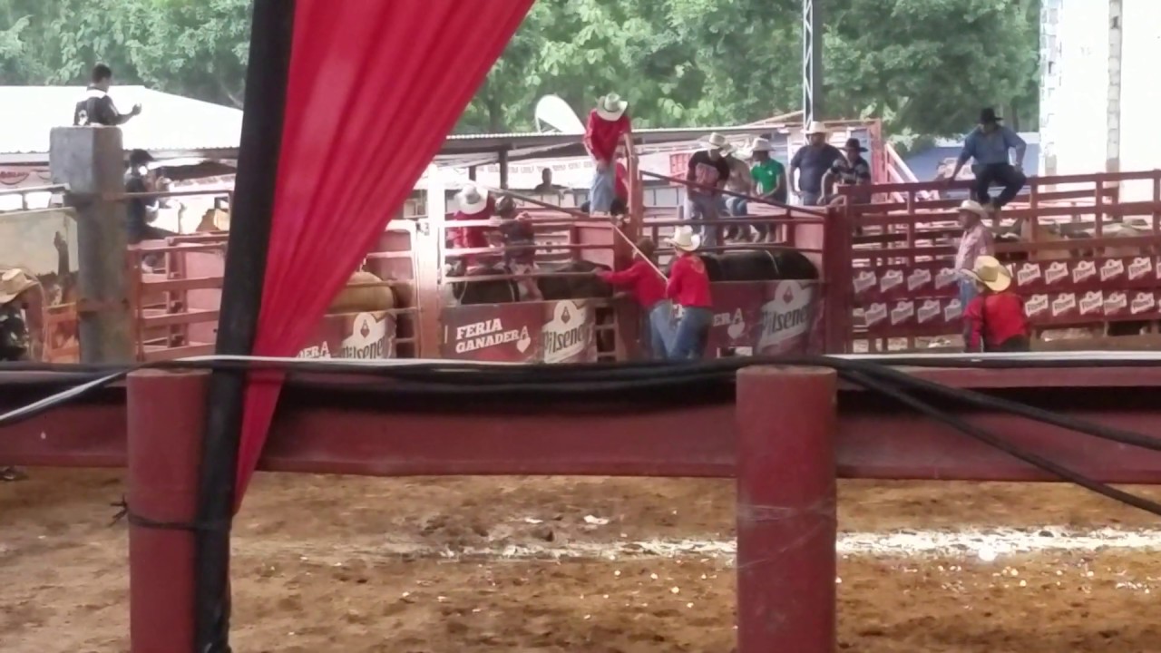 Feria ganadera de santa ana el salvador corazon aquino