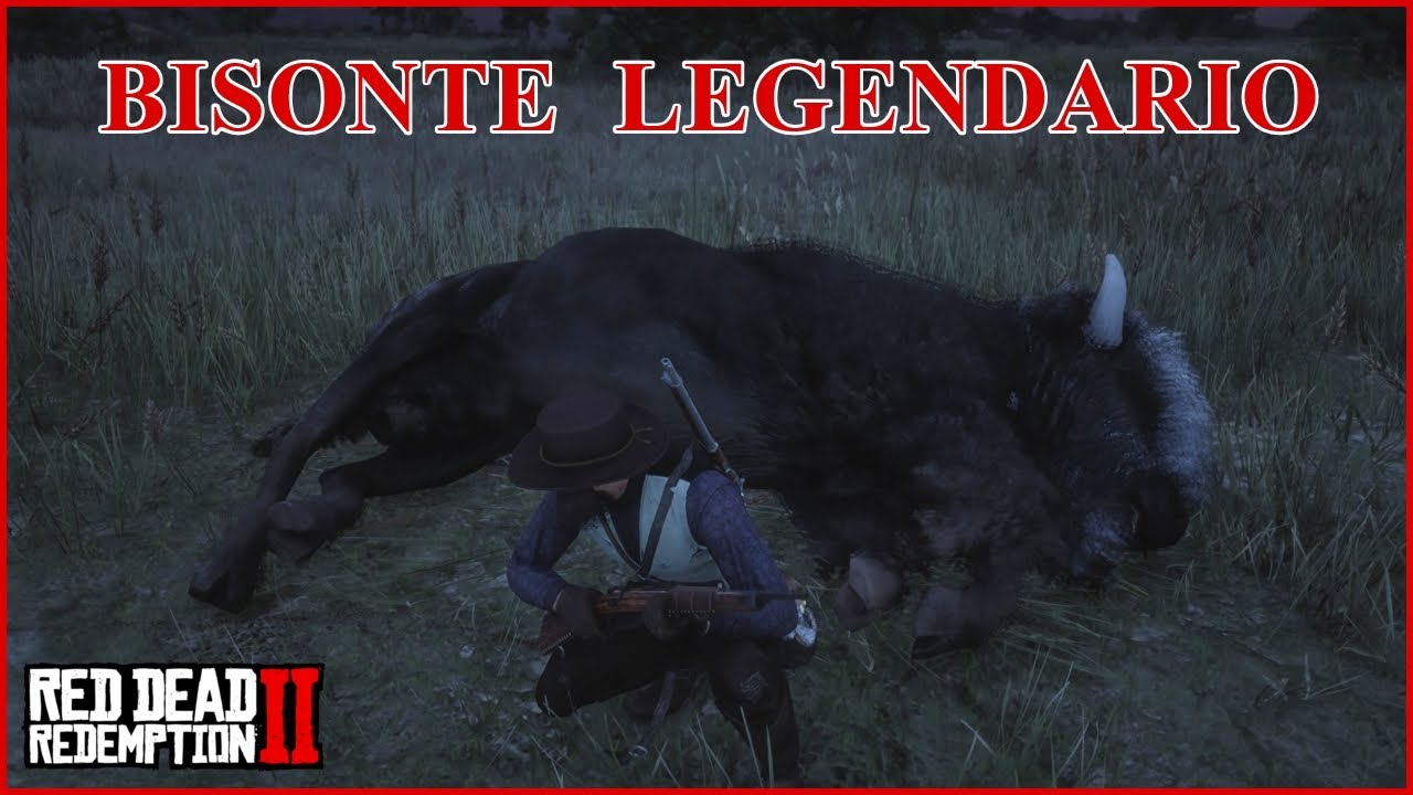 BISONTE LEGENDARIO EN RDR2 - YouTube