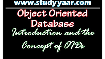 Object Oriented Database 1 - Introduction with the concept of OIDs