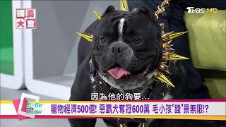 惡霸犬狗界愛馬仕好貴!奪冠600萬! 寵物經濟500億! 毛小孩'錢'景無限!? 國民大會 20180606 (完整版)