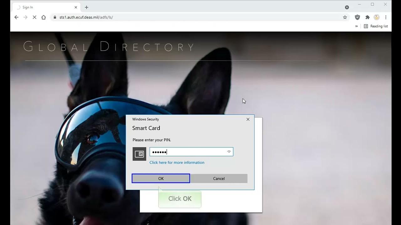 Login to Flank Speed and Access Teams YouTube