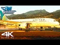 Flight Simulator ULTRA REALISM : Spectacular Graphics | Boeing 787-8 | Landing At Tahiti | 4K | MSFS