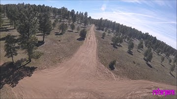 In the Pines BETAFLIGHT and DSHOT 600 FTW
