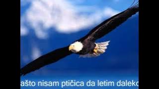 Toma Pticica Prodaj majko golfa dizelasa