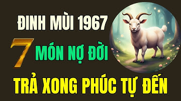 Tuổi Đinh Mùi 1967, Thần phật chỉ rõ, có 7 món nợ đời, Trả xong rồi, Hậu vận an nhàn sung túc.